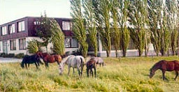Bild Grundstück im Roßfeld